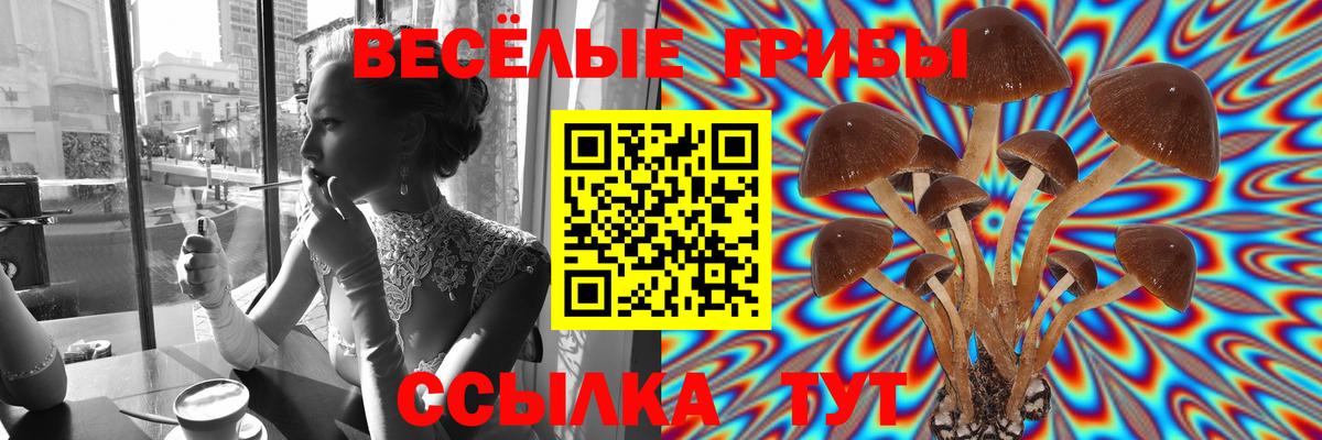 Ачинск  Галлюциногенные грибы ЛСД  Вход с VPN 